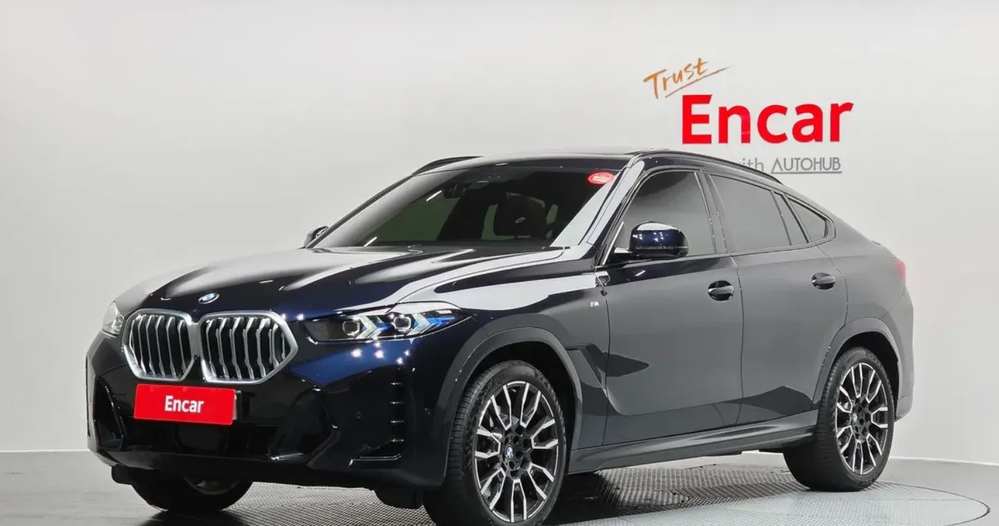 2025 BMW X6
